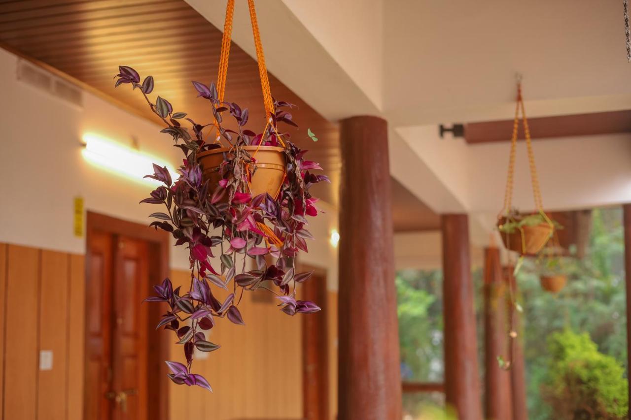 Swastha Plantation Homestay Kaniyambetta Luaran gambar