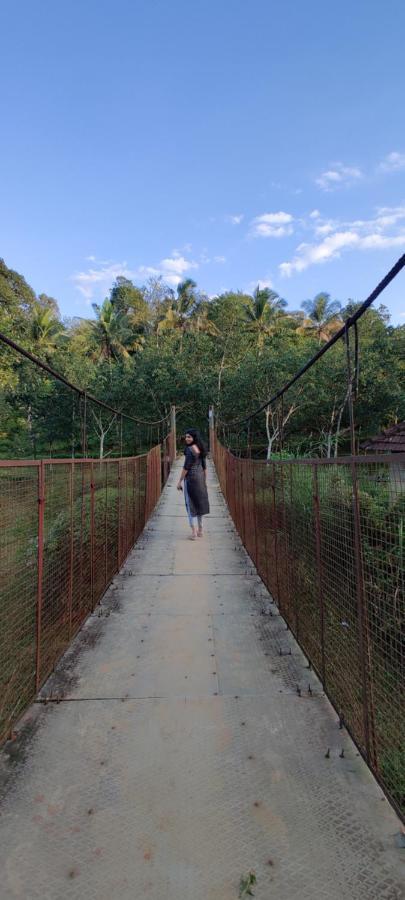Swastha Plantation Homestay Kaniyambetta Luaran gambar